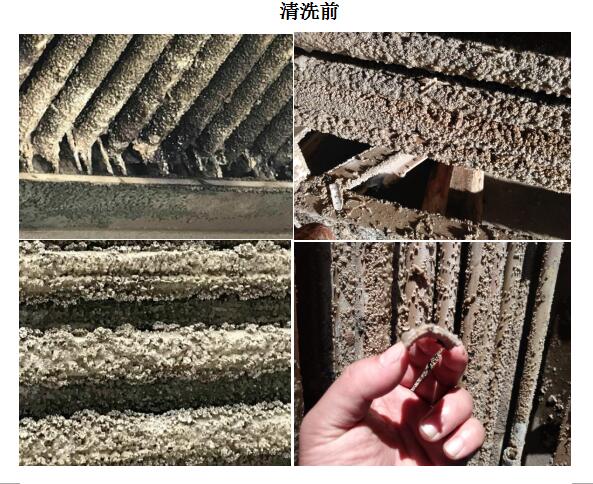 1532577263689031.jpg 1.jpg